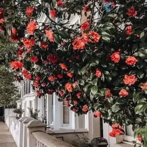 fairytalesoflondon