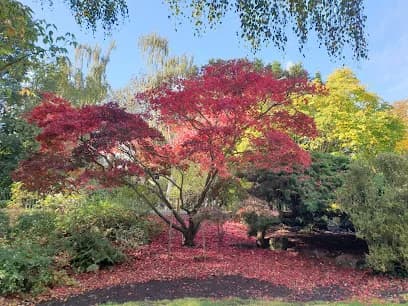 Peckham Rye Park & Common