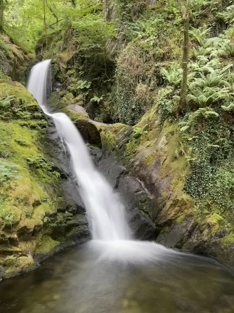 Dolgoch Falls