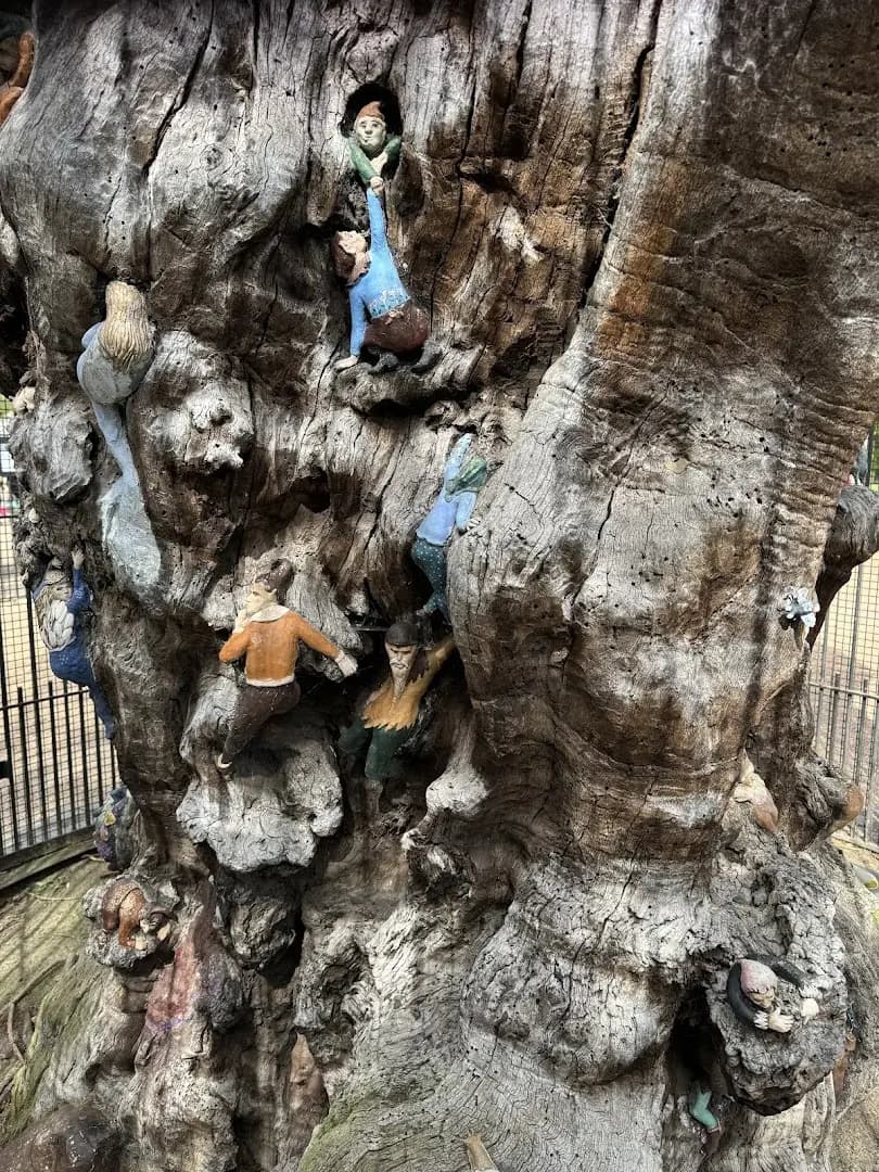 Elfin Oak