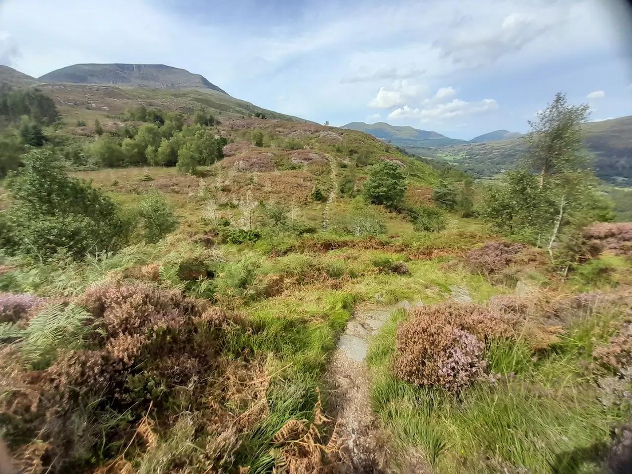 National Trust car park - Nantmor