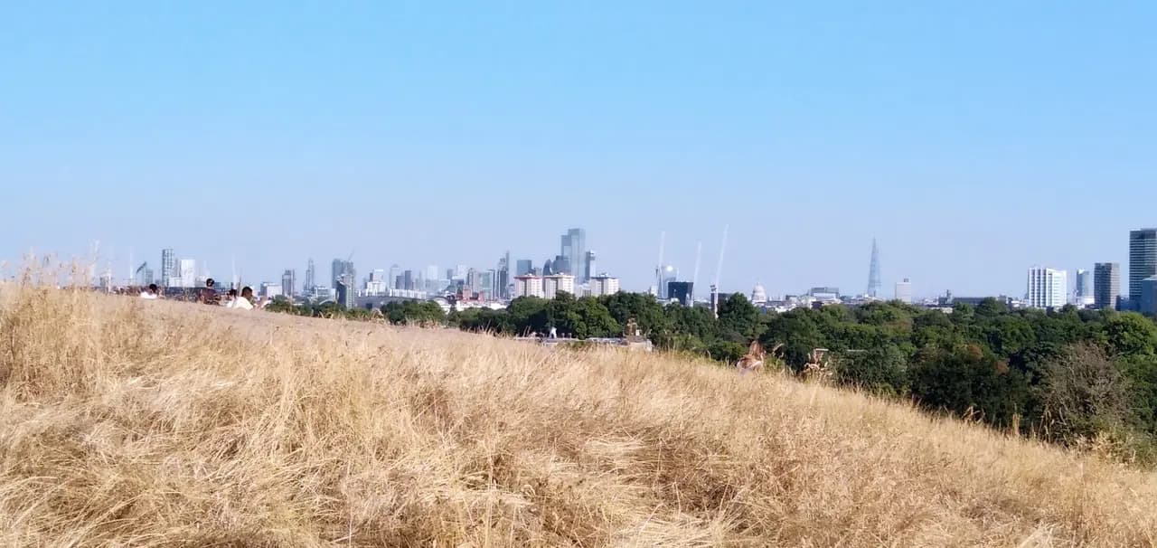 Primrose Hill